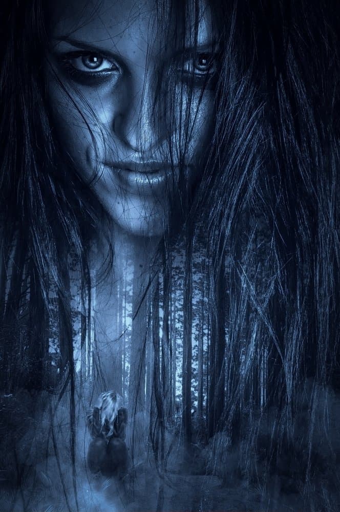 Mysterious Forest Woman by Peeters Jos — canvas wall art