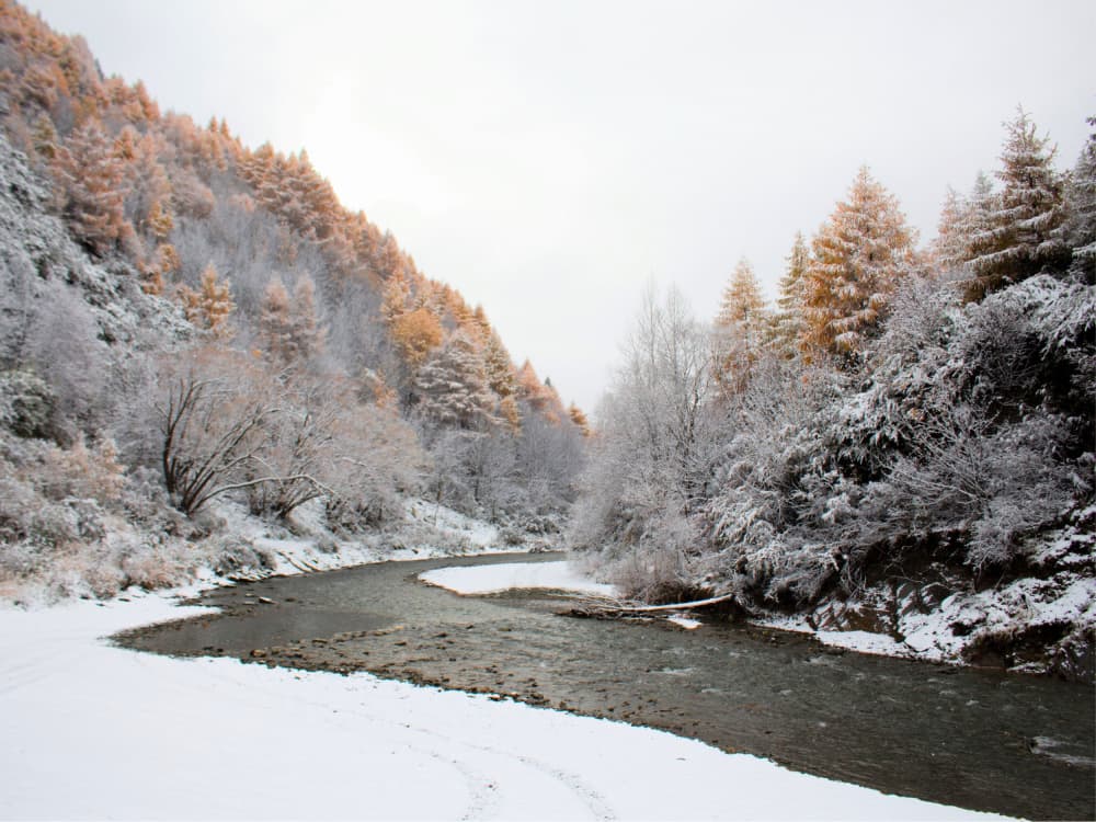 Golden Winter Stream by Mathieu jeuf — canvas wall art