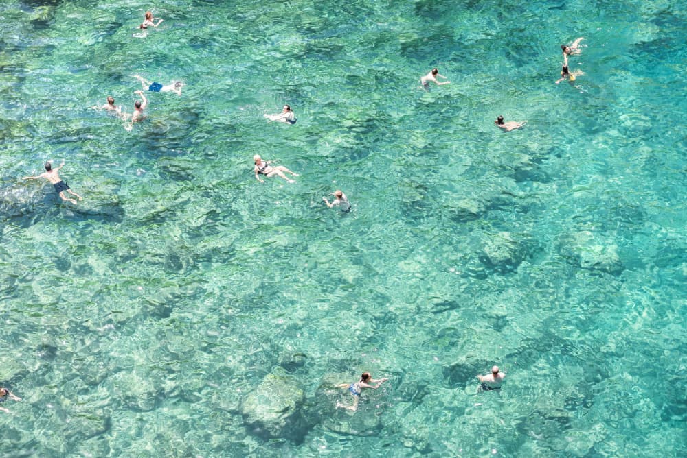 Clear Turquoise Swimmers by Photolovers — canvas wall art