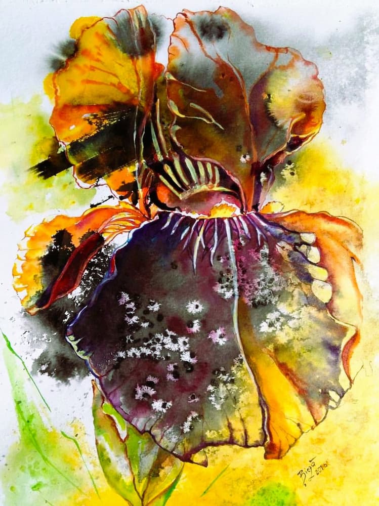 Vibrant Watercolor Iris by Anda Bieza — canvas wall art