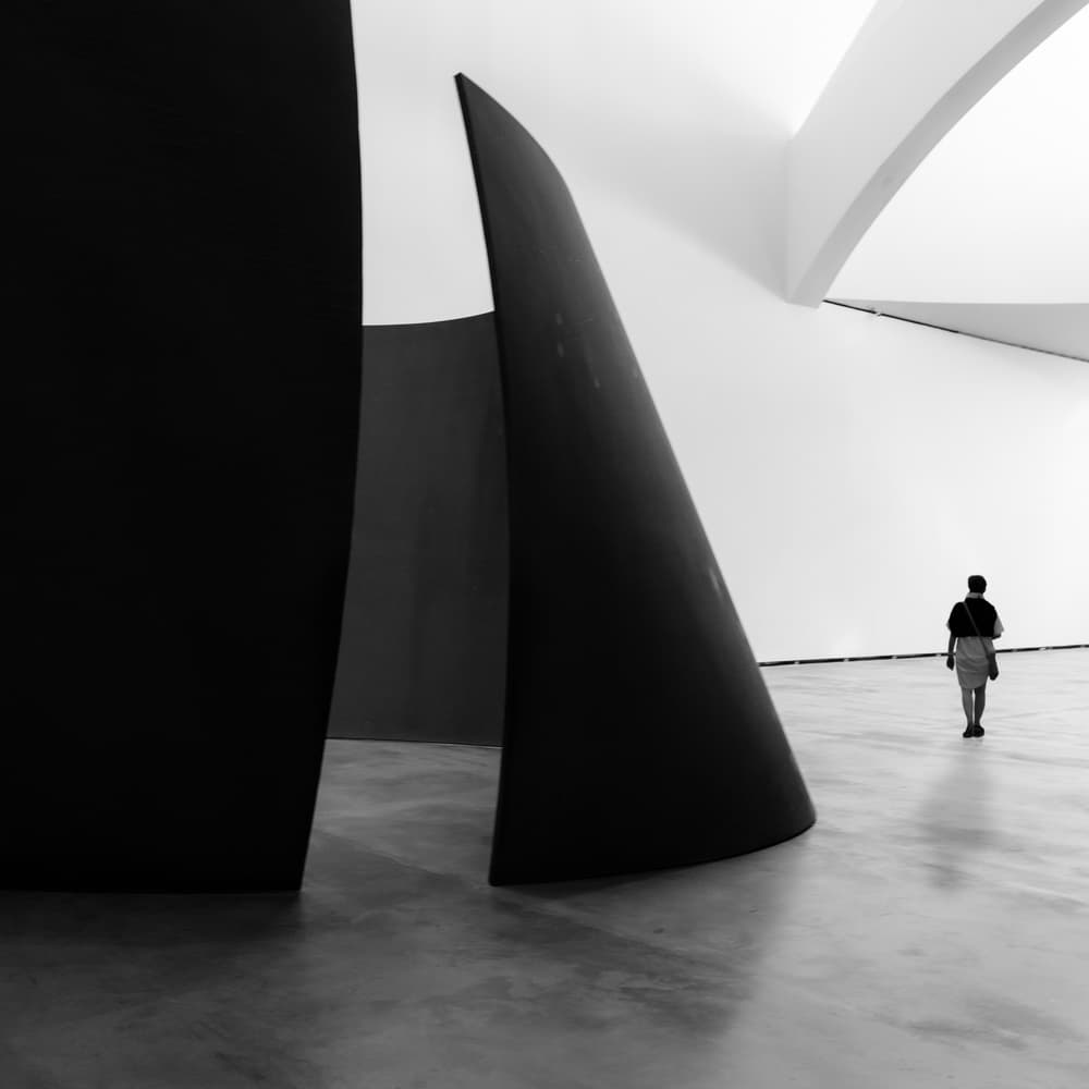 Black Forms White Space by Luc Vangindertael (laGrange) — canvas wall art