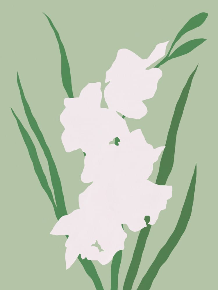 White Gladiolus Serenity by Little Dean — canvas wall art