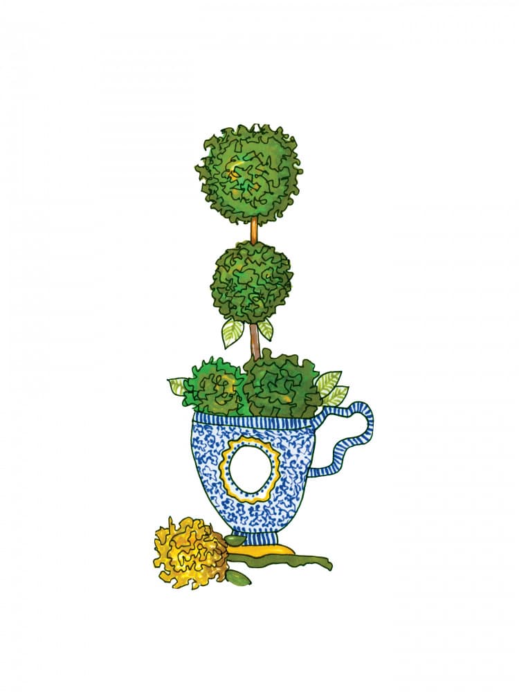 Whimsical Teacup Topiary by Breanna Megan Studio — canvas wall art