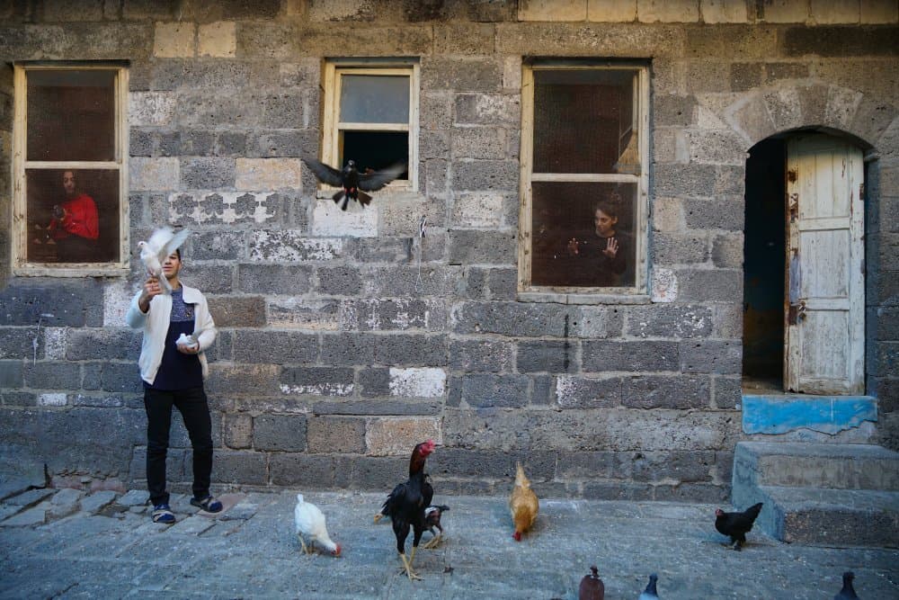 Man and Village Birds by Fatma GÖKMEN — canvas wall art