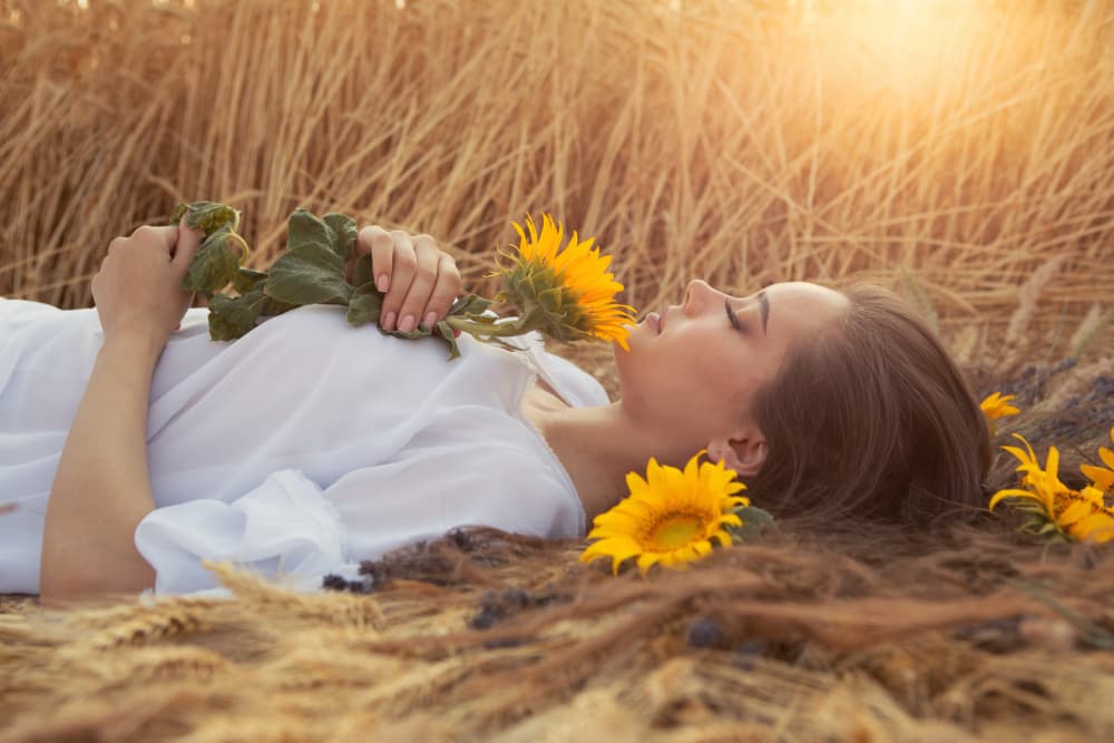 Dreaming Among Sunflowers by Mihai Bogdan R — canvas wall art