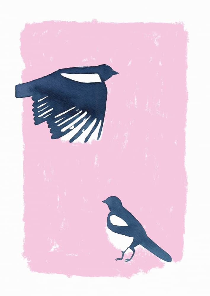 Pink Sky Magpies by Carola Cedell — canvas wall art