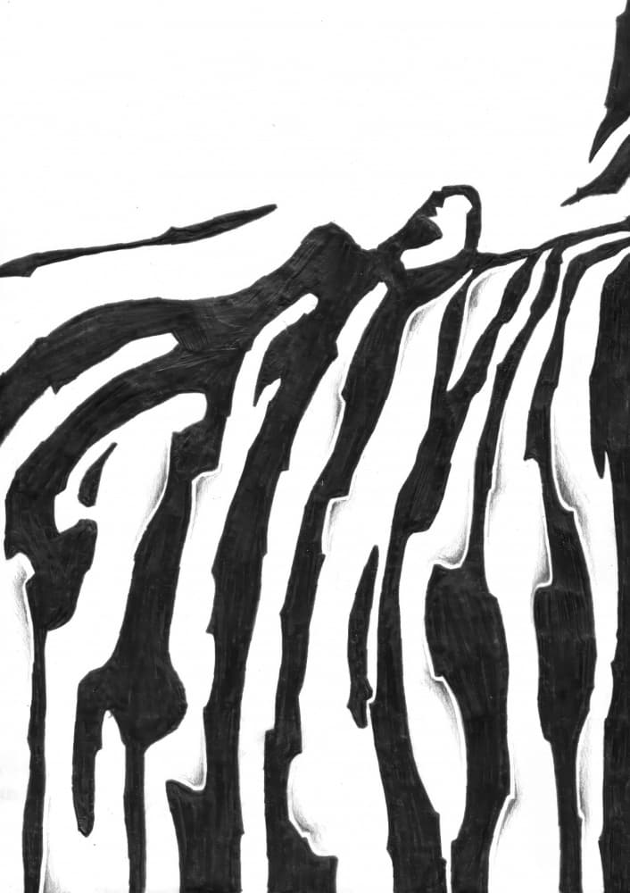 Fluid Zebra Pattern by Kulik — canvas wall art