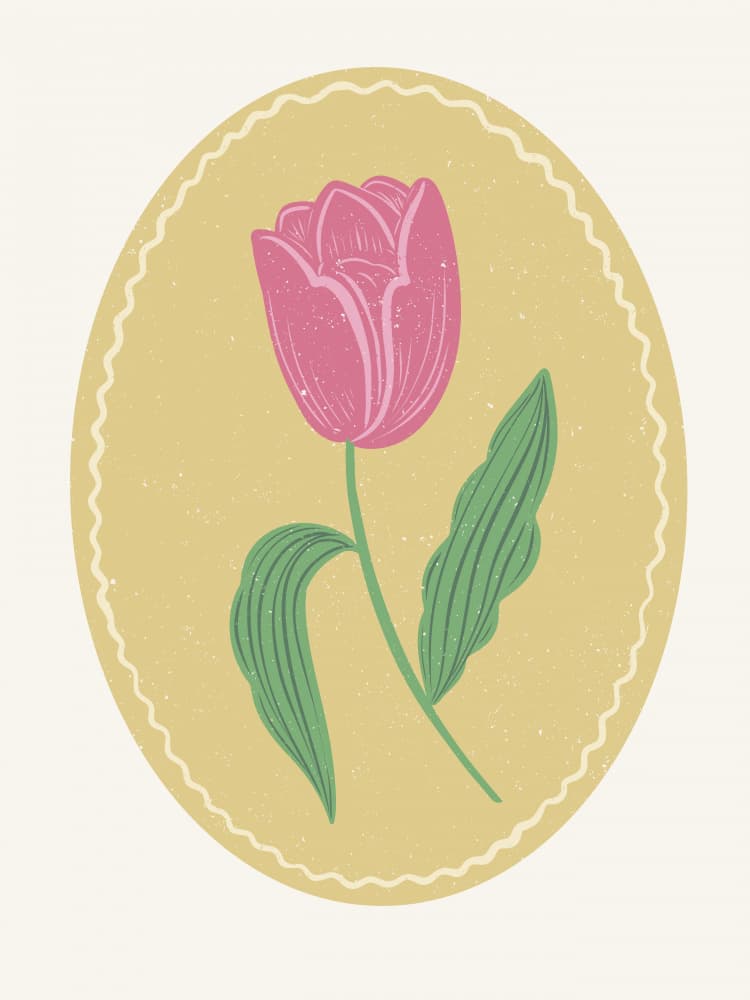 Vintage Pink Tulip by Nikita Jariwala — canvas wall art