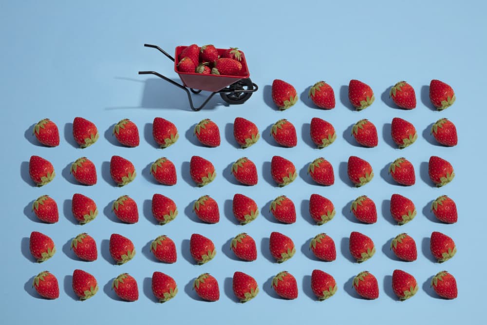 Strawberry Wheelbarrow Rows by Julia Ramiro — canvas wall art