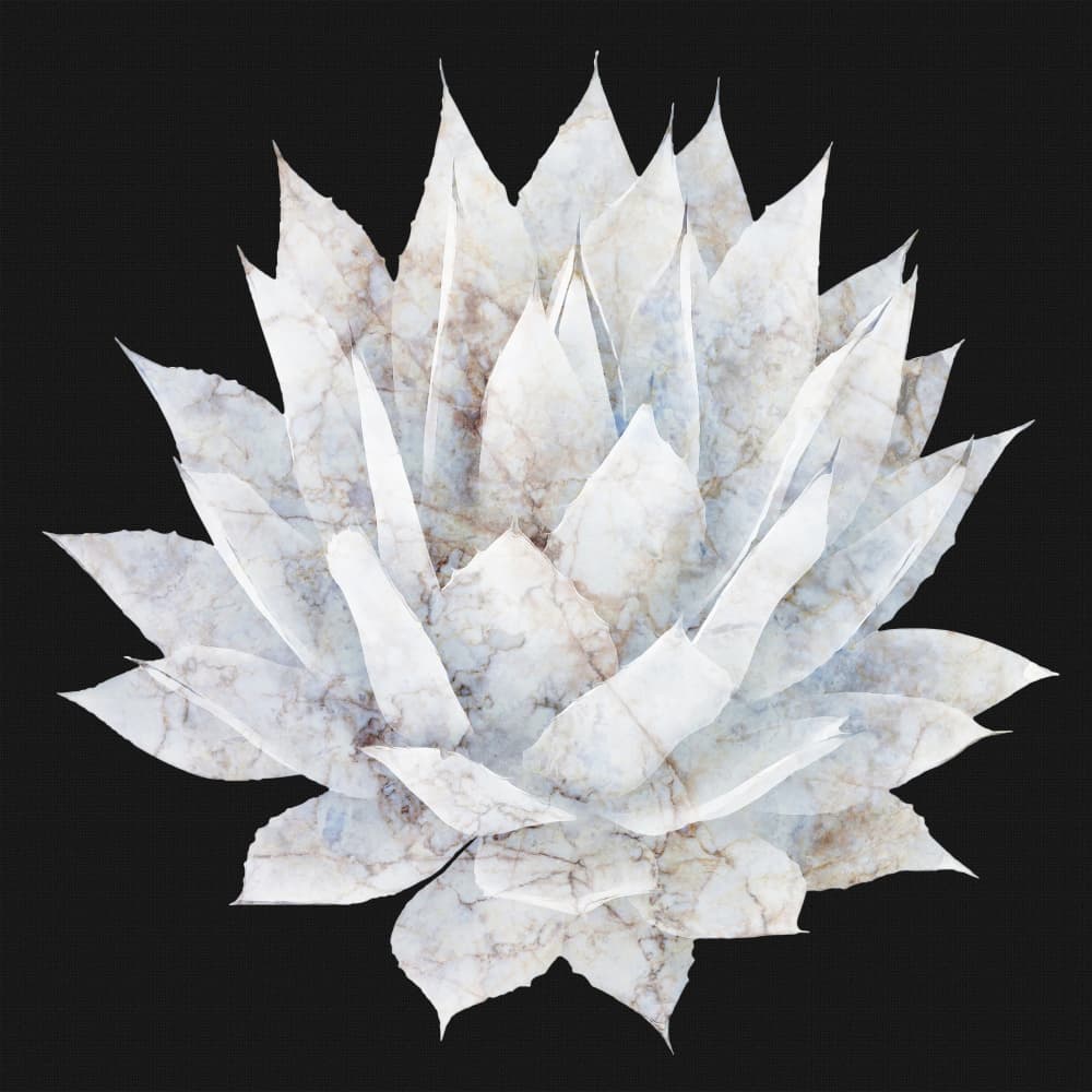 Elegant Marble Agave by amini54 — canvas wall art
