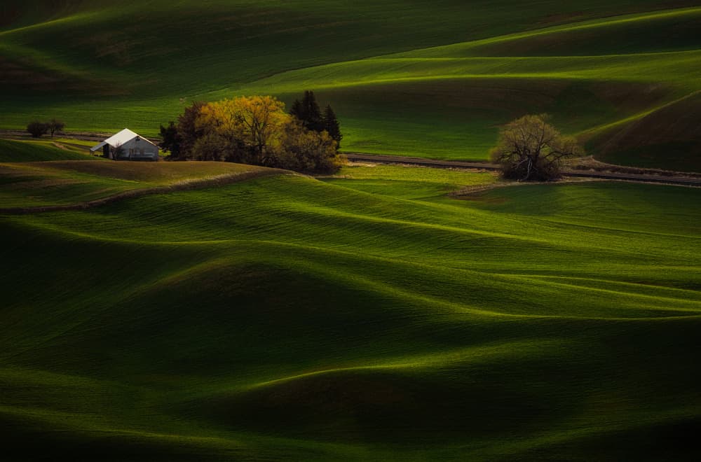 Rolling Green Hills Barn by Lydia Jacobs — canvas wall art