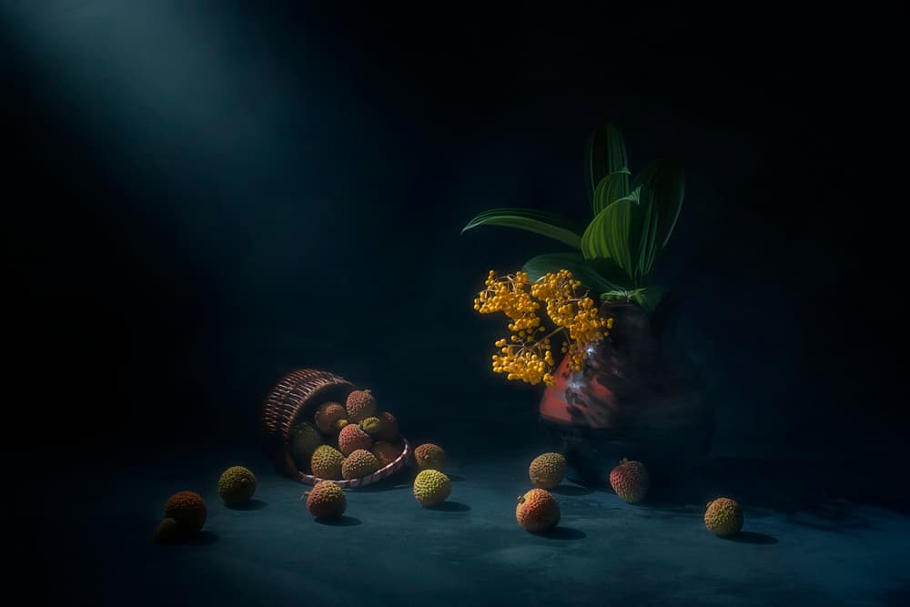 Dramatic Lychee Still Life by Lydia Jacobs — canvas wall art
