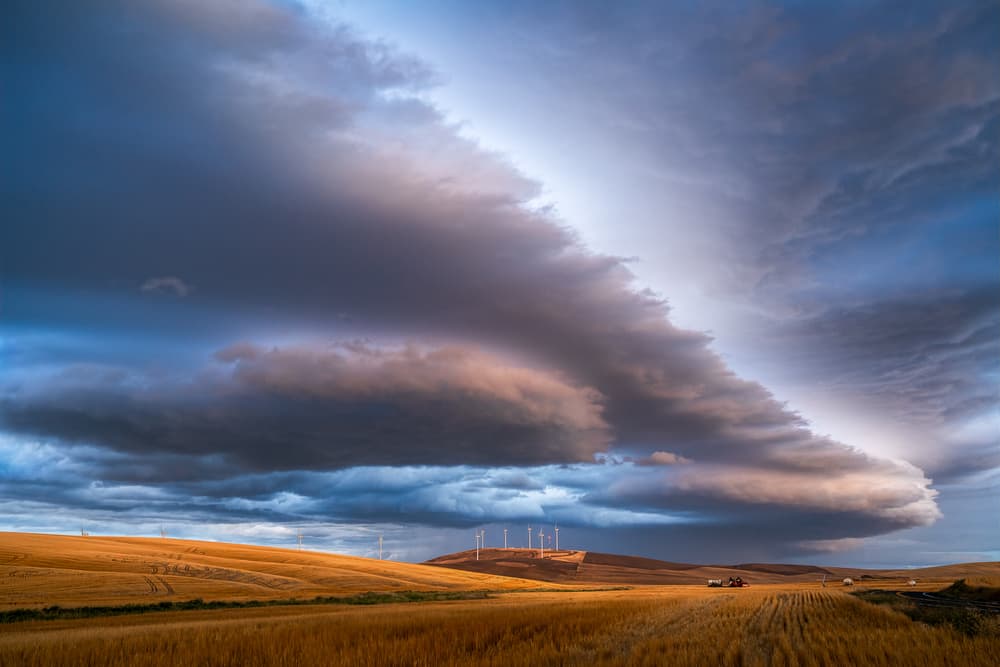 Golden Fields Dramatic Sky by John Fan — canvas wall art