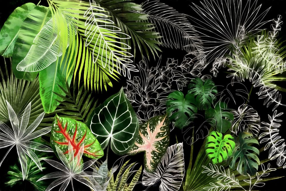 Lush Tropical Foliage by amini54 — canvas wall art