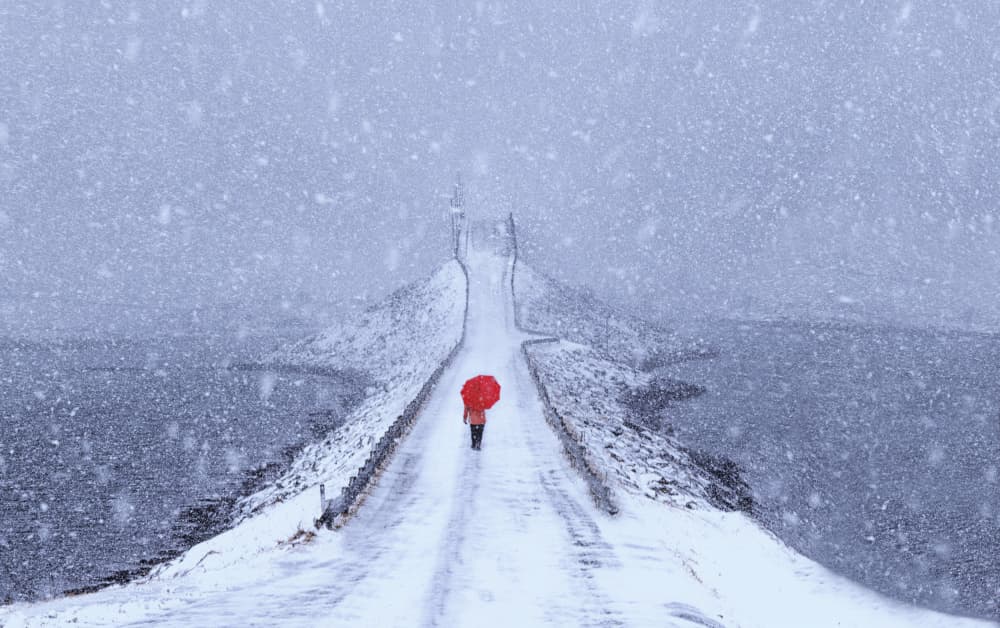 Red Umbrella Winter Walk by Jie Jin — canvas wall art