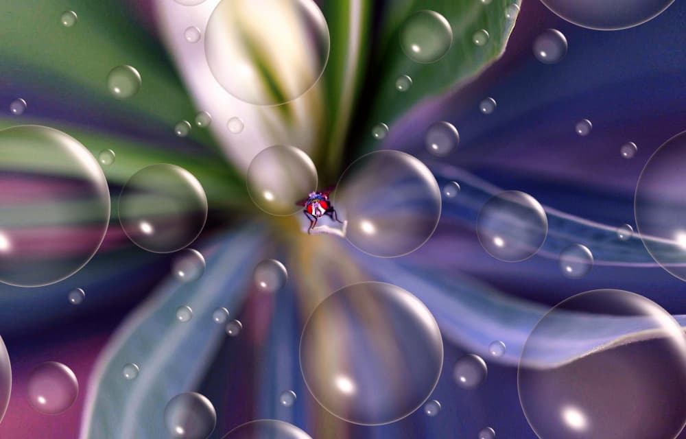 Whimsical Bubble World by Thierry Dufour — canvas wall art