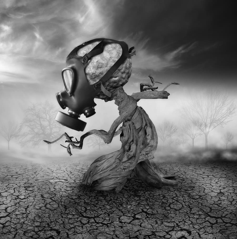 Drought Masked Tree by Hari Sulistiawan — canvas wall art