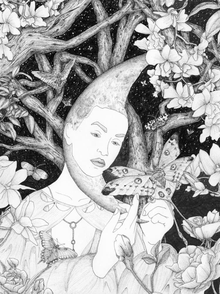 Lunar Moth Mystery by EC Mazur — canvas wall art