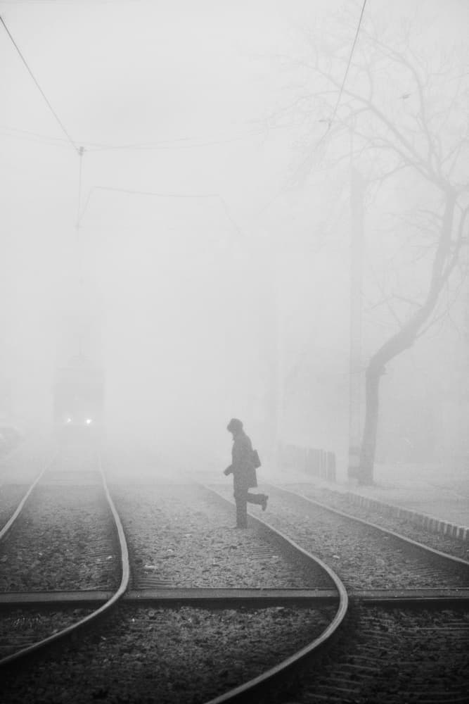 Running in the Fog by Nicoleta Gabor — canvas wall art