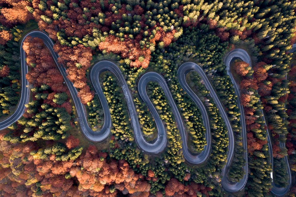 Winding Autumn Forest Road by Eyal Amer — canvas wall art
