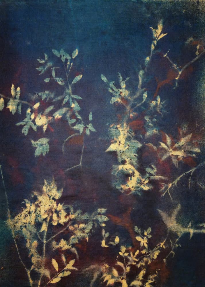 Deep Blue Leaves by Stefano Mazzolini — canvas wall art