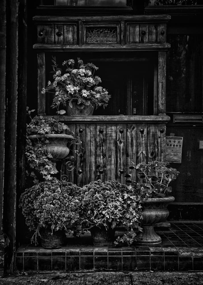 Vintage Storefront Garden by The Learning Curve Photography — canvas wall art