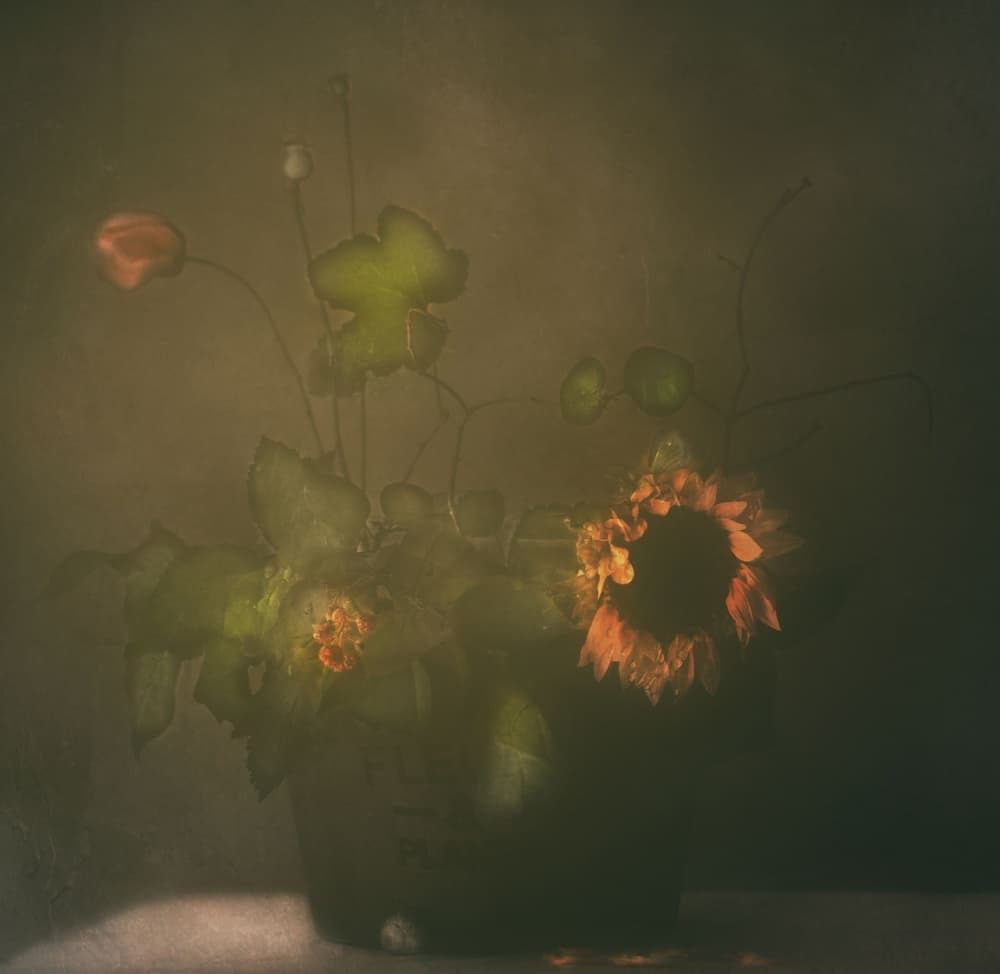 Dark Botanical Still Life by Delphine Devos — canvas wall art