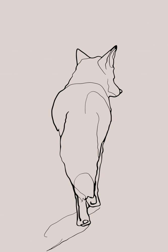 Fox(simpleline)no01 by Treechild — canvas wall art