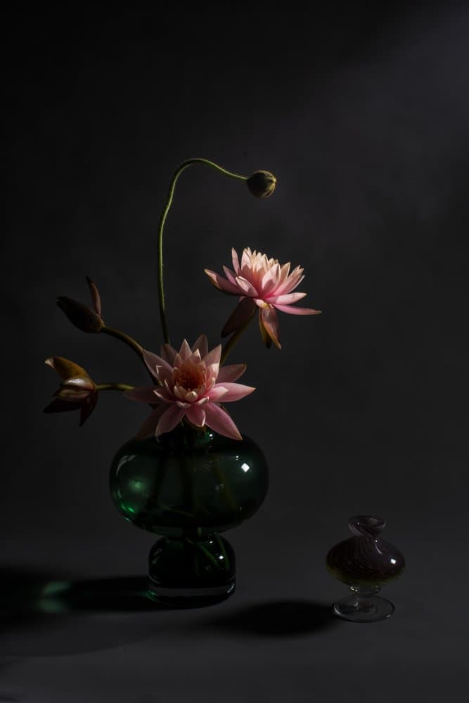 Elegant Pink Lilies by Summer2016 — canvas wall art