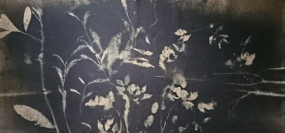 Shadow Garden Bloom by Stefano Mazzolini — canvas wall art