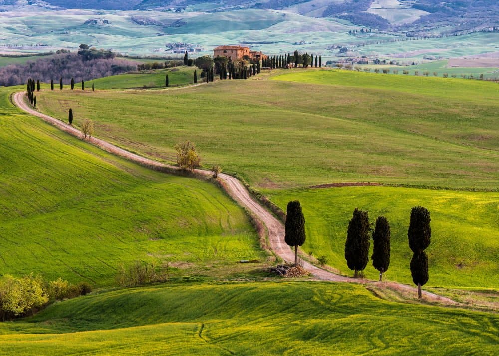 Tuscan Green Hills Road by Ugur Erkmen — canvas wall art