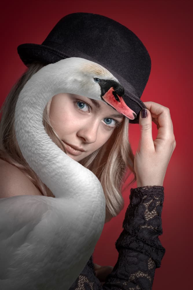 Elegant Swan Portrait by Marcel Egger — canvas wall art