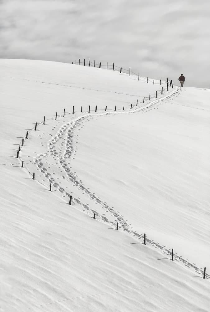 Winding Snow Path by Uschi Hermann — canvas wall art
