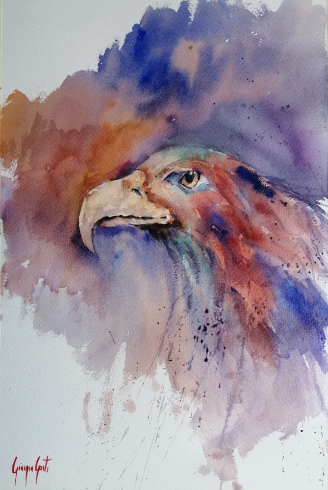 Vibrant Eagle Portrait by Giorgio Gosti — canvas wall art