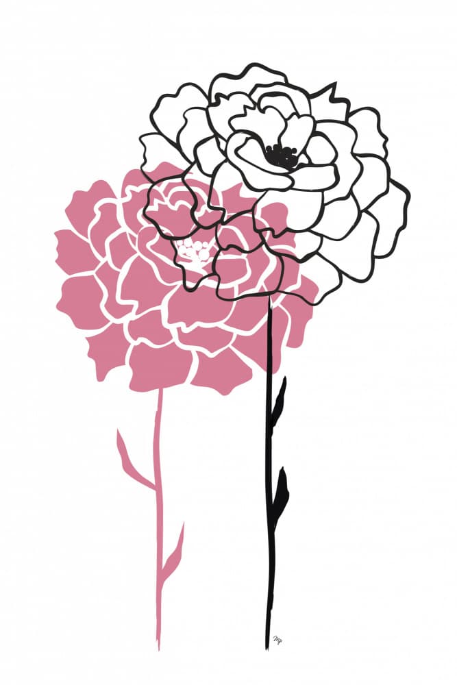 Pink and Black Blooms by Martina — canvas wall art