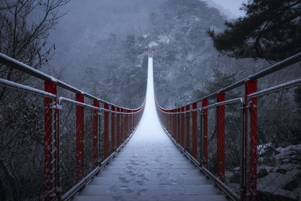 Snowy Red Bridge by Tiger Seo — canvas wall art
