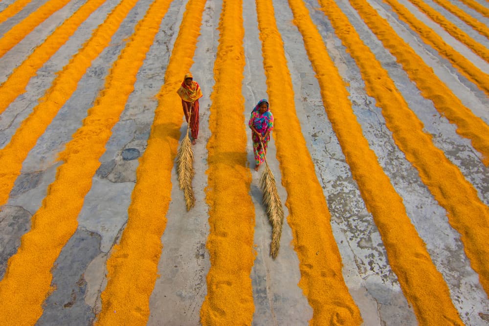 Women Drying Grain by Azim Khan Ronnie — canvas wall art