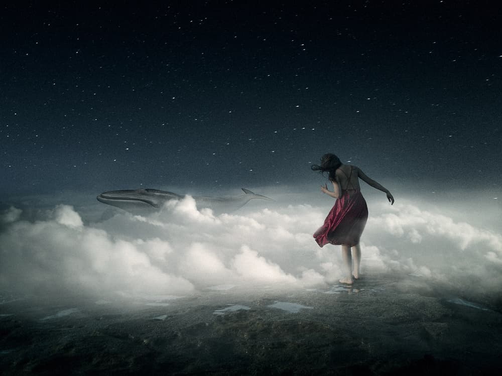Dreamer and the Whale by Bingo Z — canvas wall art