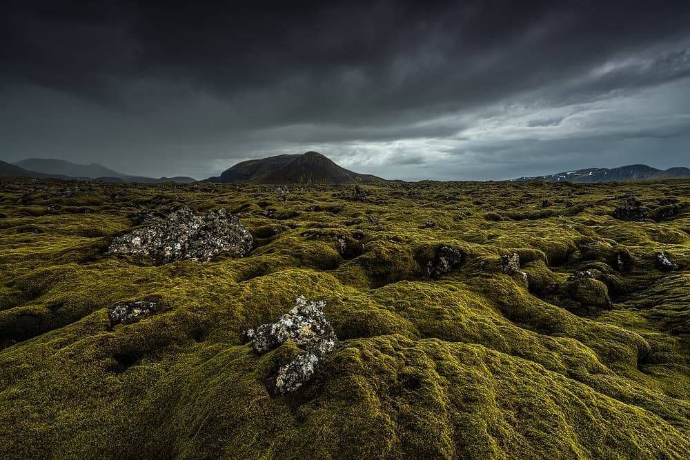 Dramatic Mossy Landscape by Raymond Hoffmann — canvas wall art