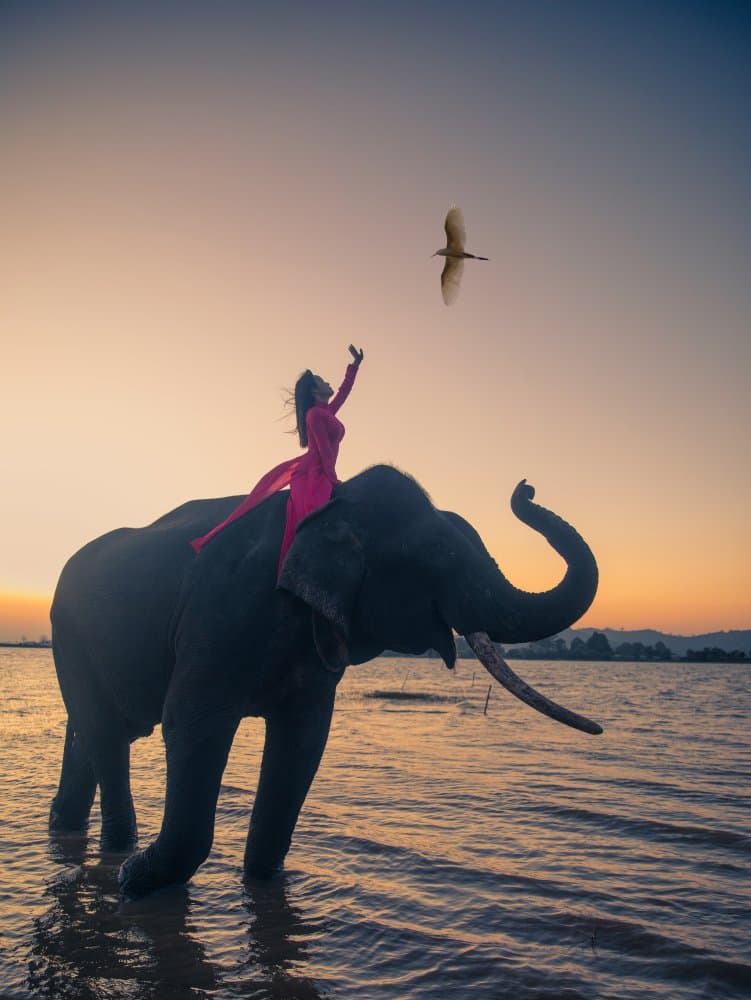 Serene Elephant Water Journey by Nguyen Tan Tuan — canvas wall art