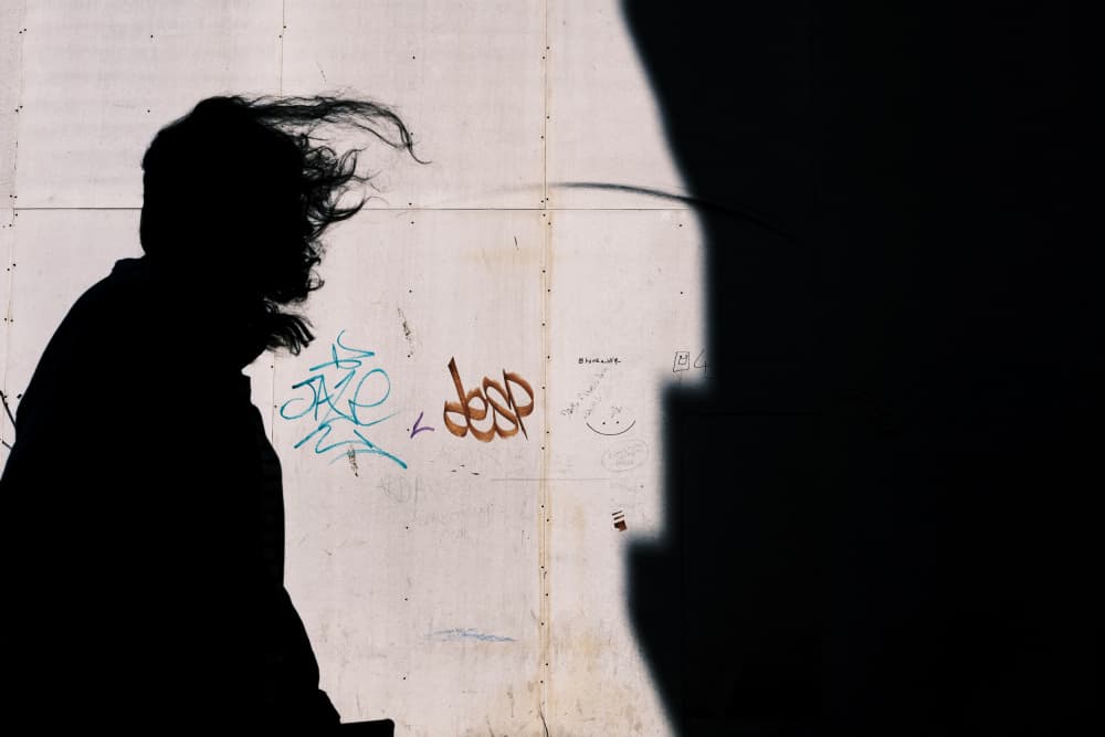 Blowing Hair Silhouette by Ali Ayer — canvas wall art