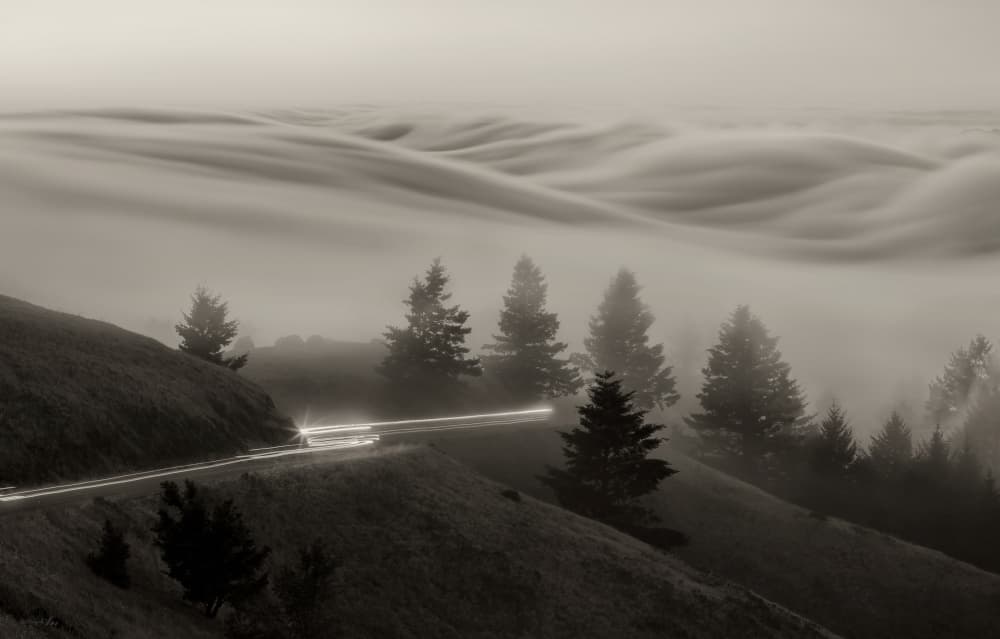 Winding Road Through Fog by ANNA AN — canvas wall art