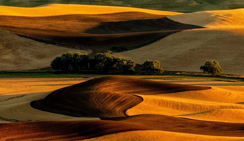 Golden Rolling Hills by NanZ — canvas wall art