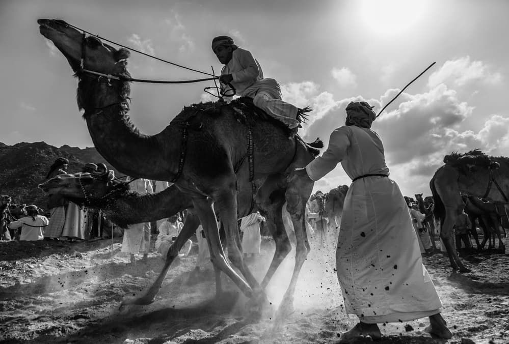 Desert Camel Race by Nasser Al-Nasser — canvas wall art