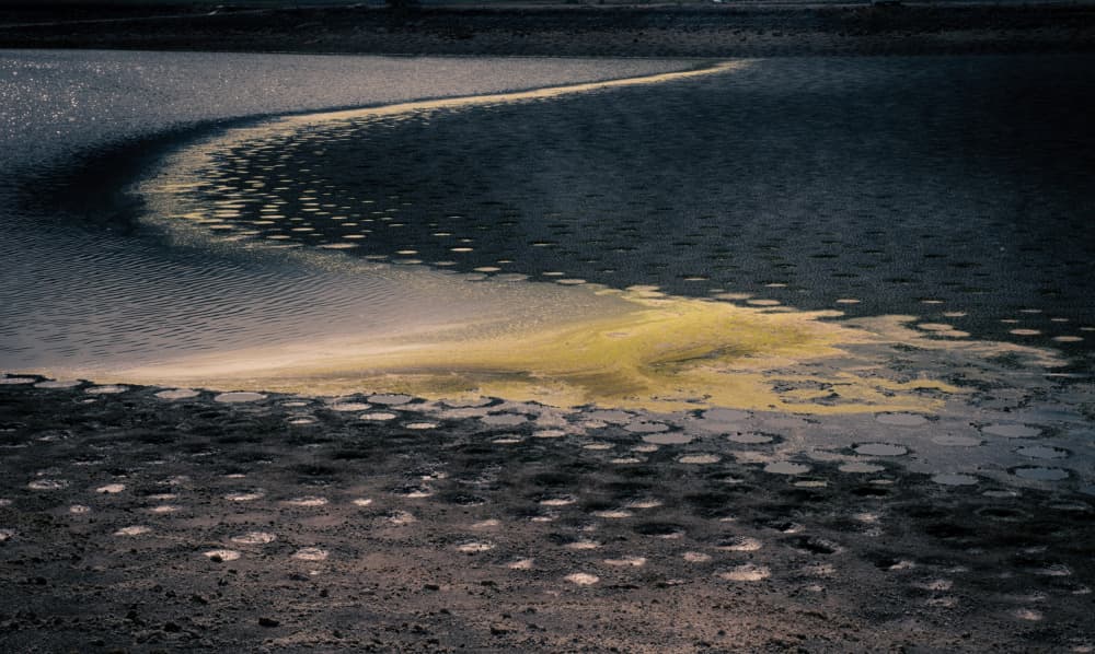 Golden Path On Water by Miki Meir Levi — canvas wall art