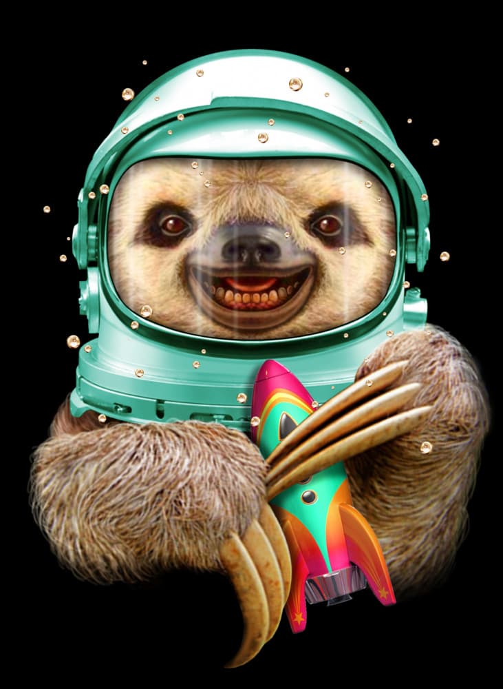 Happy Sloth Astronaut by Adam Lawless — canvas wall art