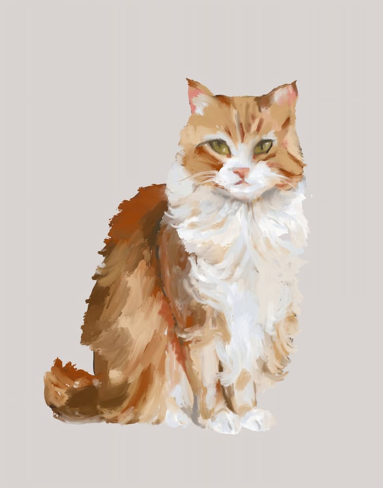 Fluffy Ginger Cat Portrait by Josie George — canvas wall art