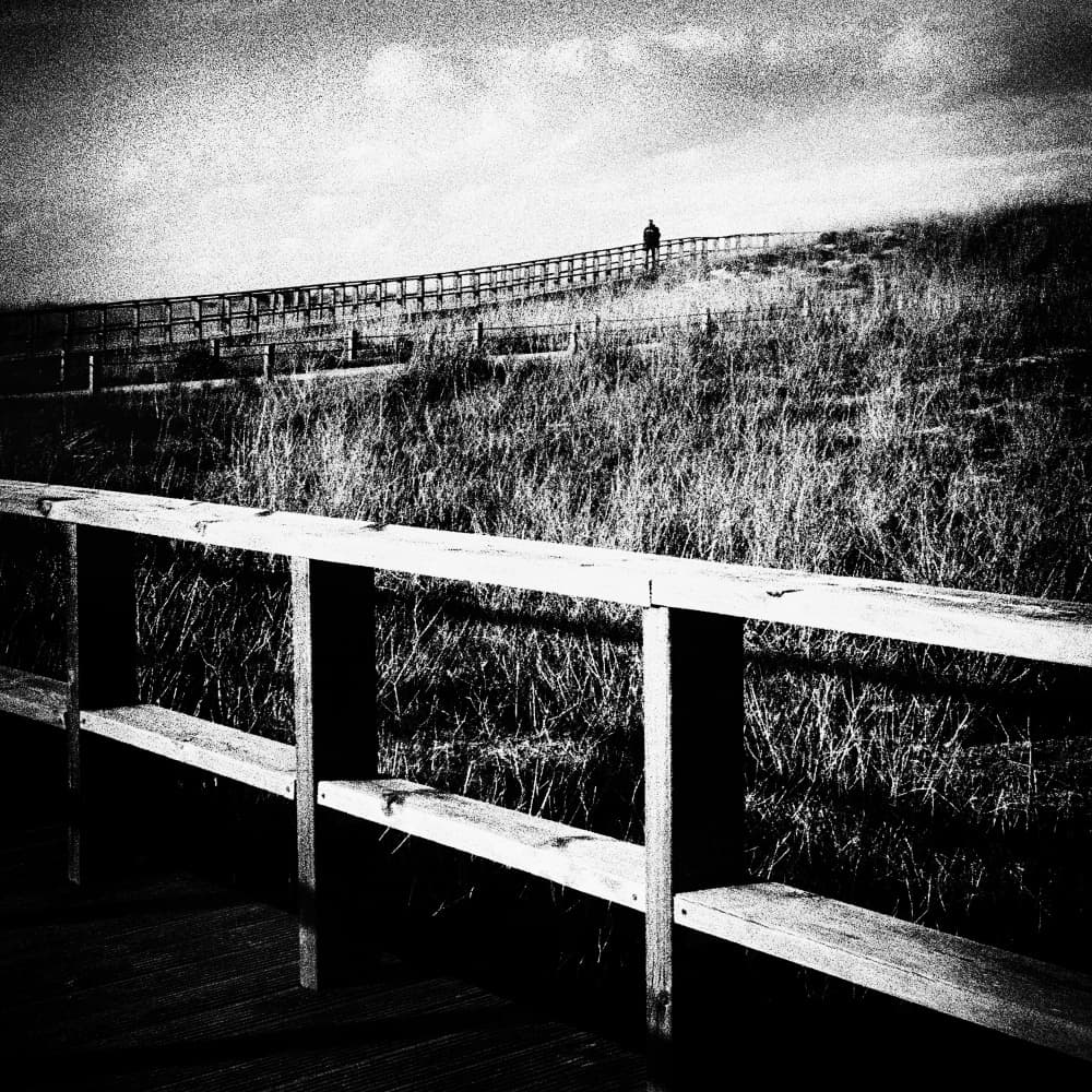 Solitary Dune Path by Paulo Abrantes — canvas wall art