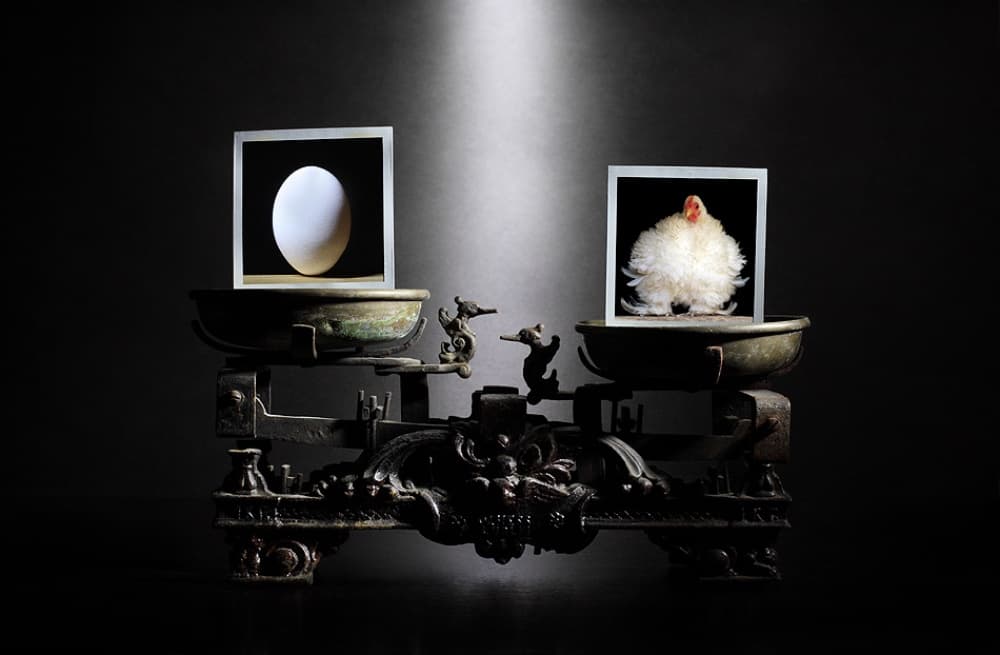 Chicken Or Egg Dilemma by Victoria Glinka — canvas wall art