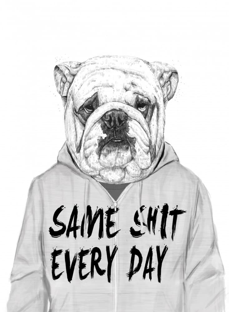 Same Shit Bulldog by Balazs Solti — canvas wall art